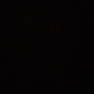 Meet your Posher, Bryce